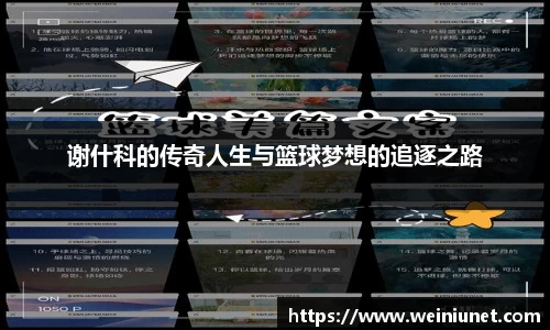 谢什科的传奇人生与篮球梦想的追逐之路